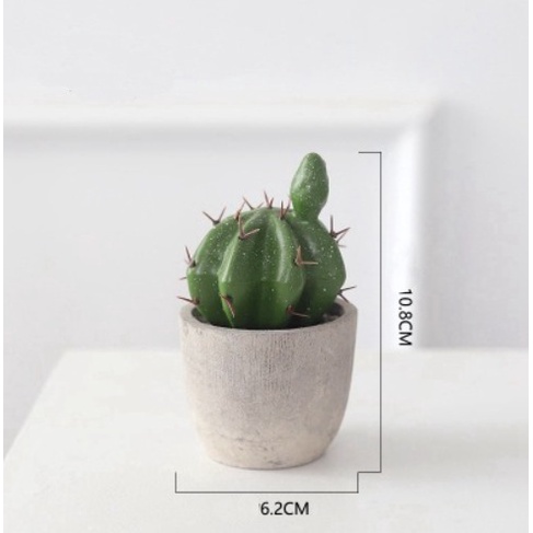 DODORY - PT46 Pot Tanaman Rumput Bunga Mini Hias Dekorasi Plastik Murah-Kode B