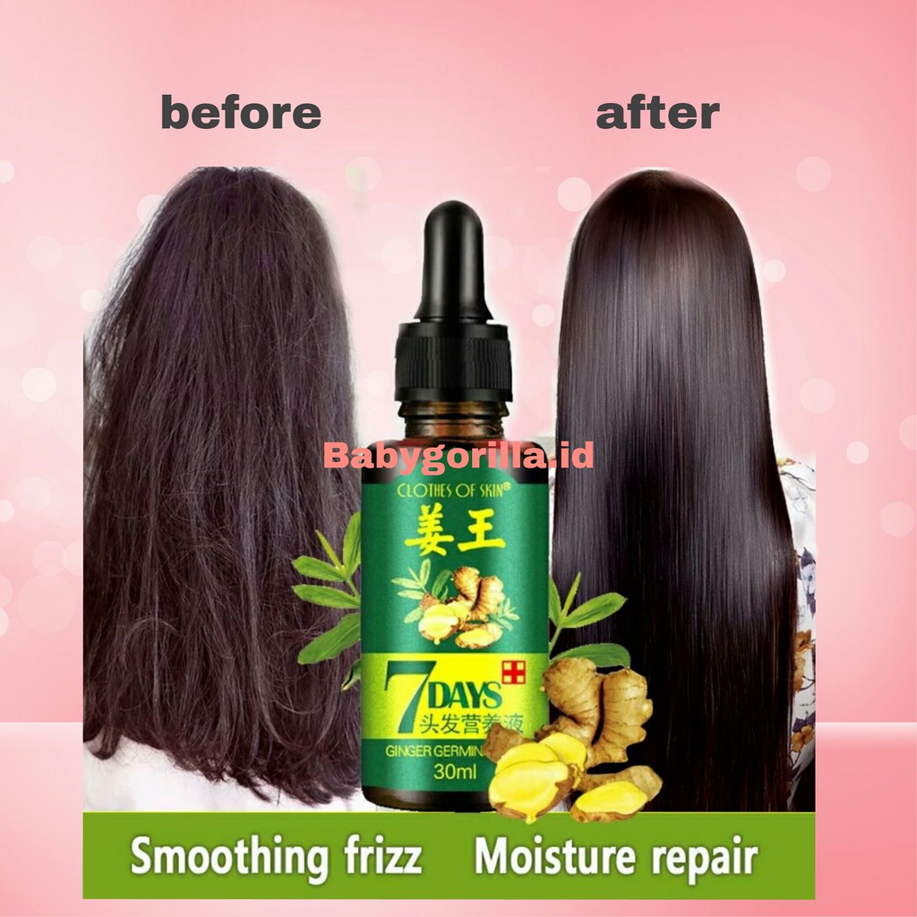 Cairan Essence Penumbuh Rambut Anti Rontok Serum Obat kebotakan Nutrisi Rambut Jahe-Babygorilla.id-3