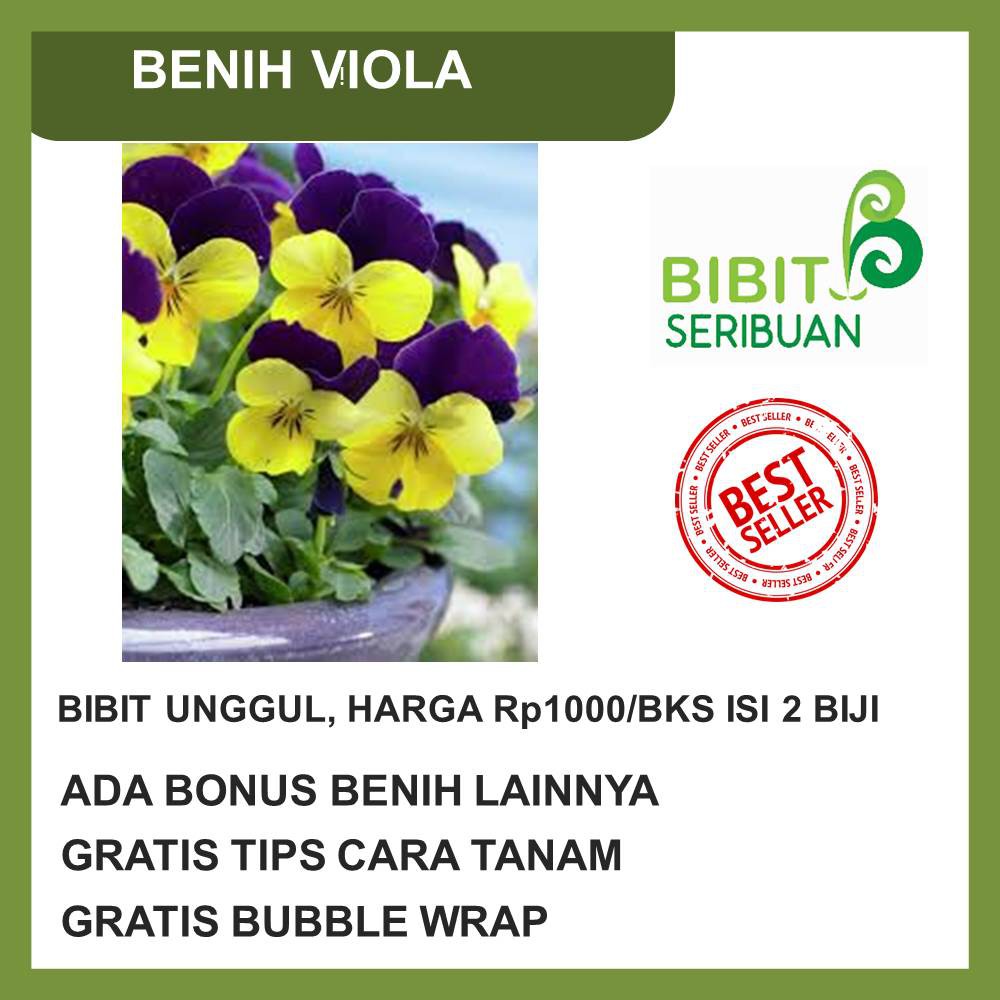 Benih Viola Ungu Bibit Bunga Import Edible Flower Shopee Indonesia