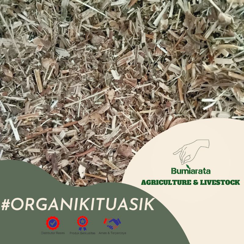 Hay Kangkung 300gr - Kangkung Kering - Pakan Kelinci Ayam Kambing Sapi - Premium Organic Feed