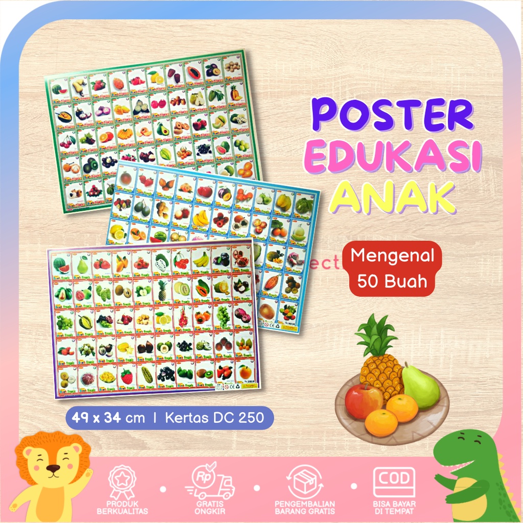 Poster Edukasi Anak Belajar Gambar Aneka Buah Isi 50 Kotak