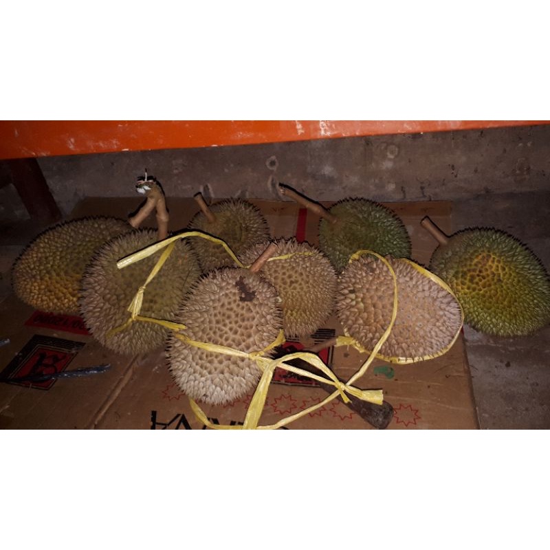 

durian