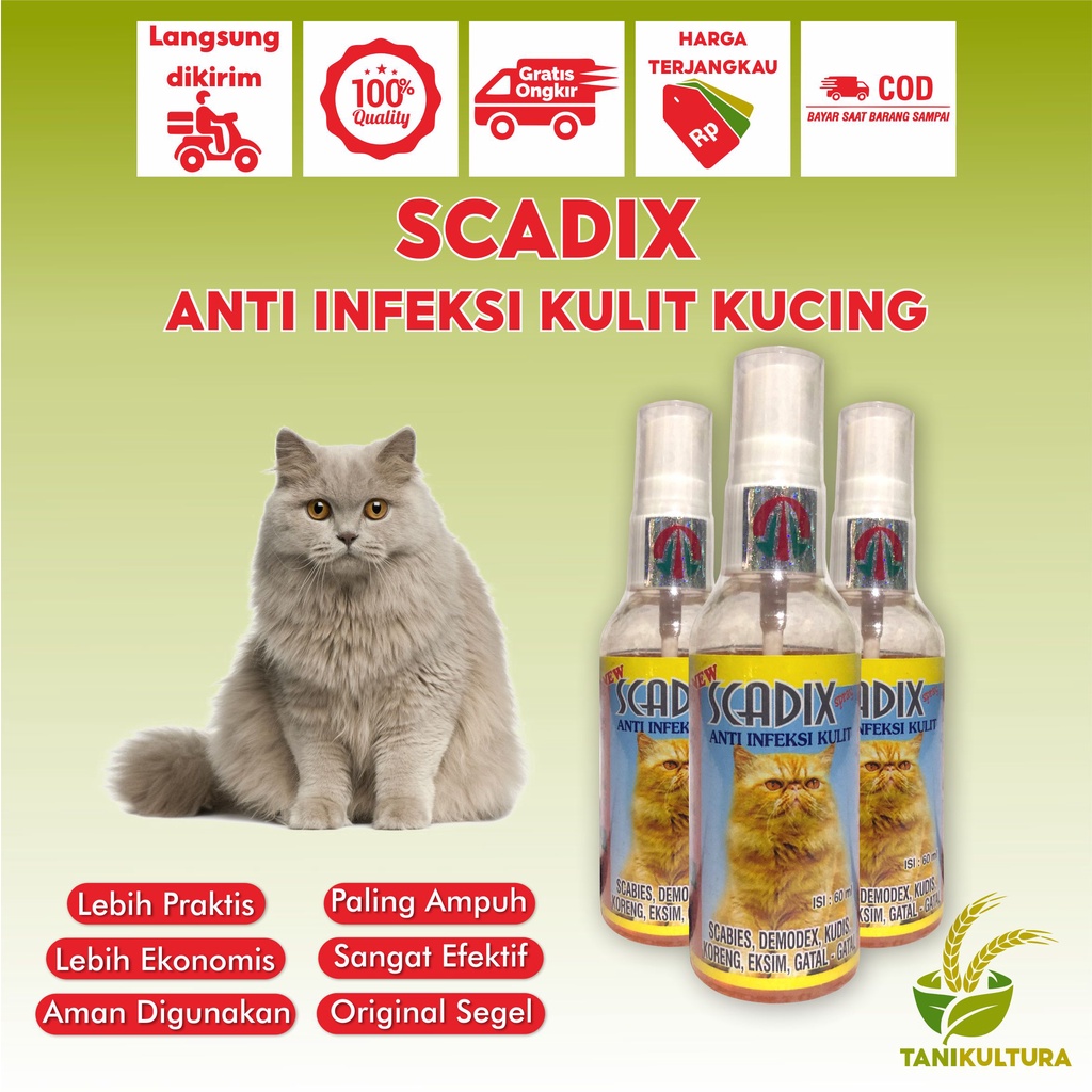 Obat Infeksi Kulit Kucing Scabies Luka Scadix Spray Cat Kulit Aman Untuk Kitten Obat Jamur Kucing Ki