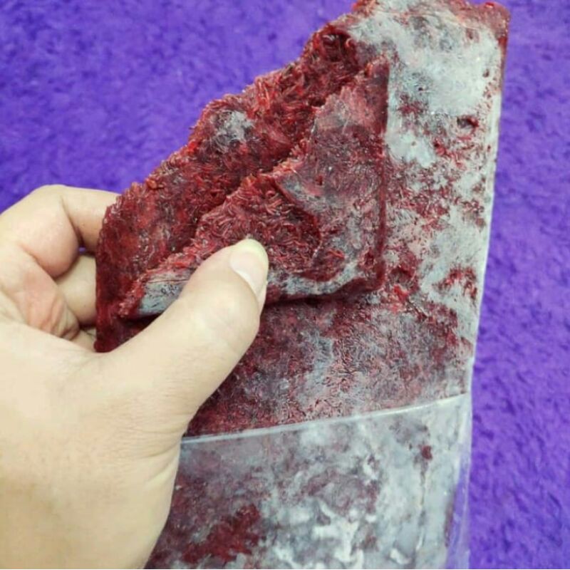 cacing darah frozen beku ikan cupang guppy