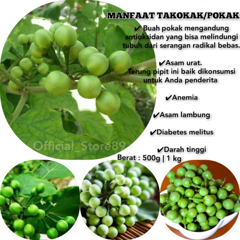 

BUAH CEPOKAN | TAKOKAK SEGAR 1 KG