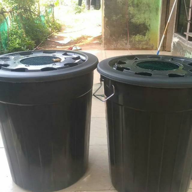 Ember hidroponik ikan lele & kangkung