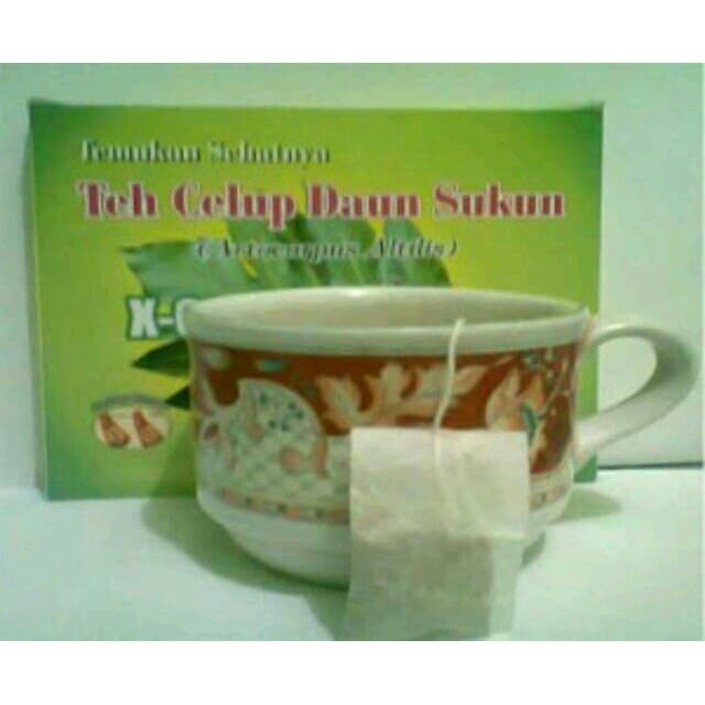 

Teh Celup Daun Sukun Pelindung Jantung Ginjal dan Gangguan Hati