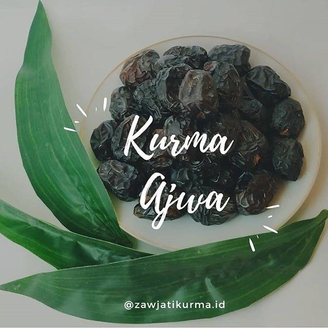 

Kurma Ajwa Asli Madinah