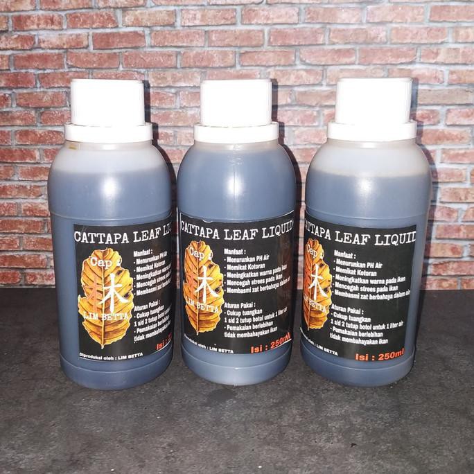 

JUAL EKSTRAK DAUN KETAPANG ISI 250ML