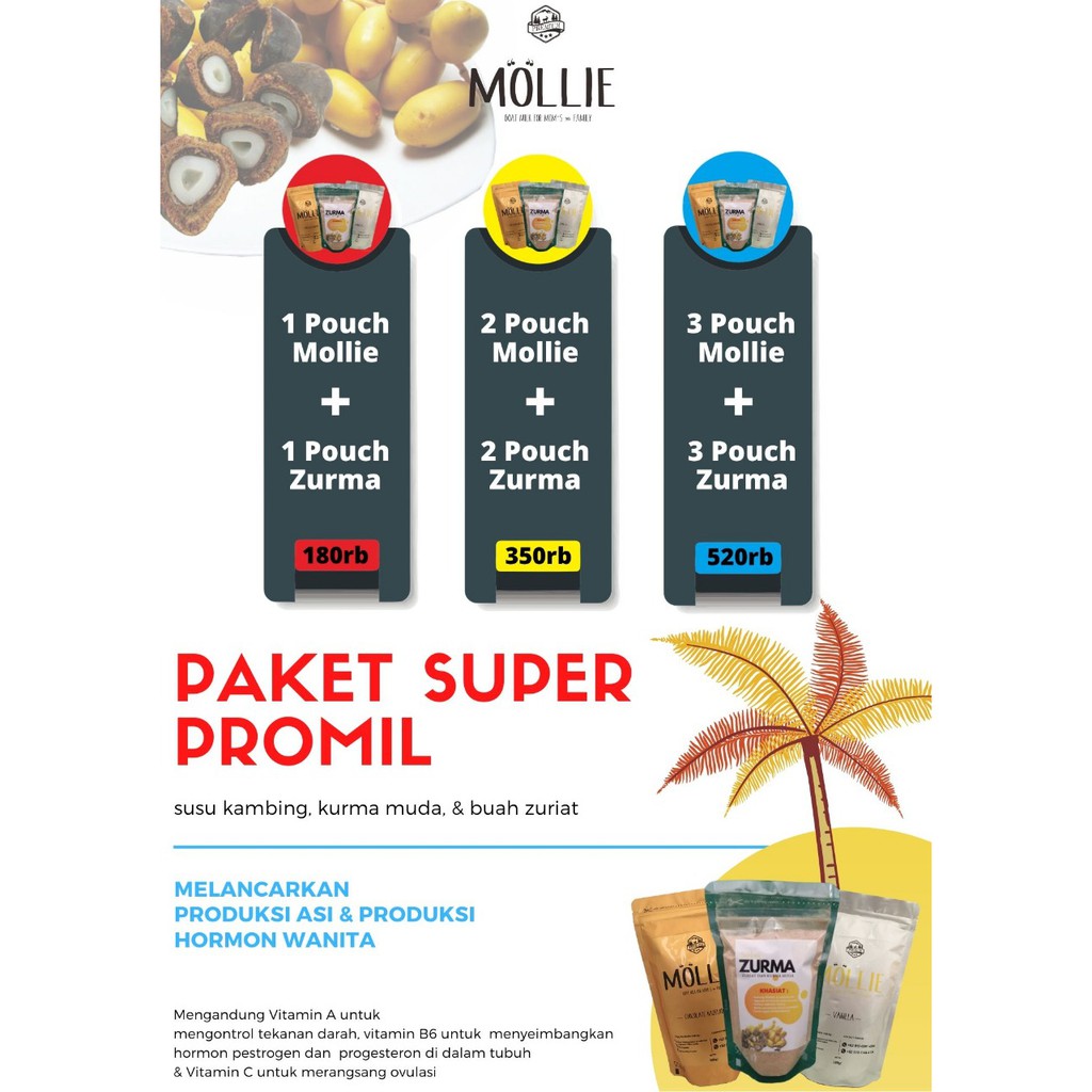 

PAKET SUPER PROMIL B