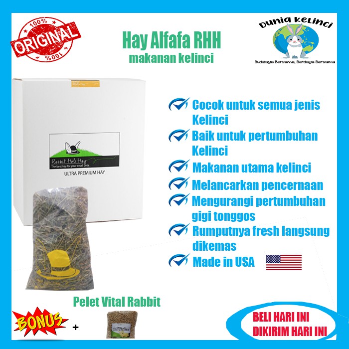 HAY ALFALFA 500 GR MAKANAN KELINCI RABBIT HOLE HAY GUINEA PIG MARMUT ALFAFA RUMPUT KERING