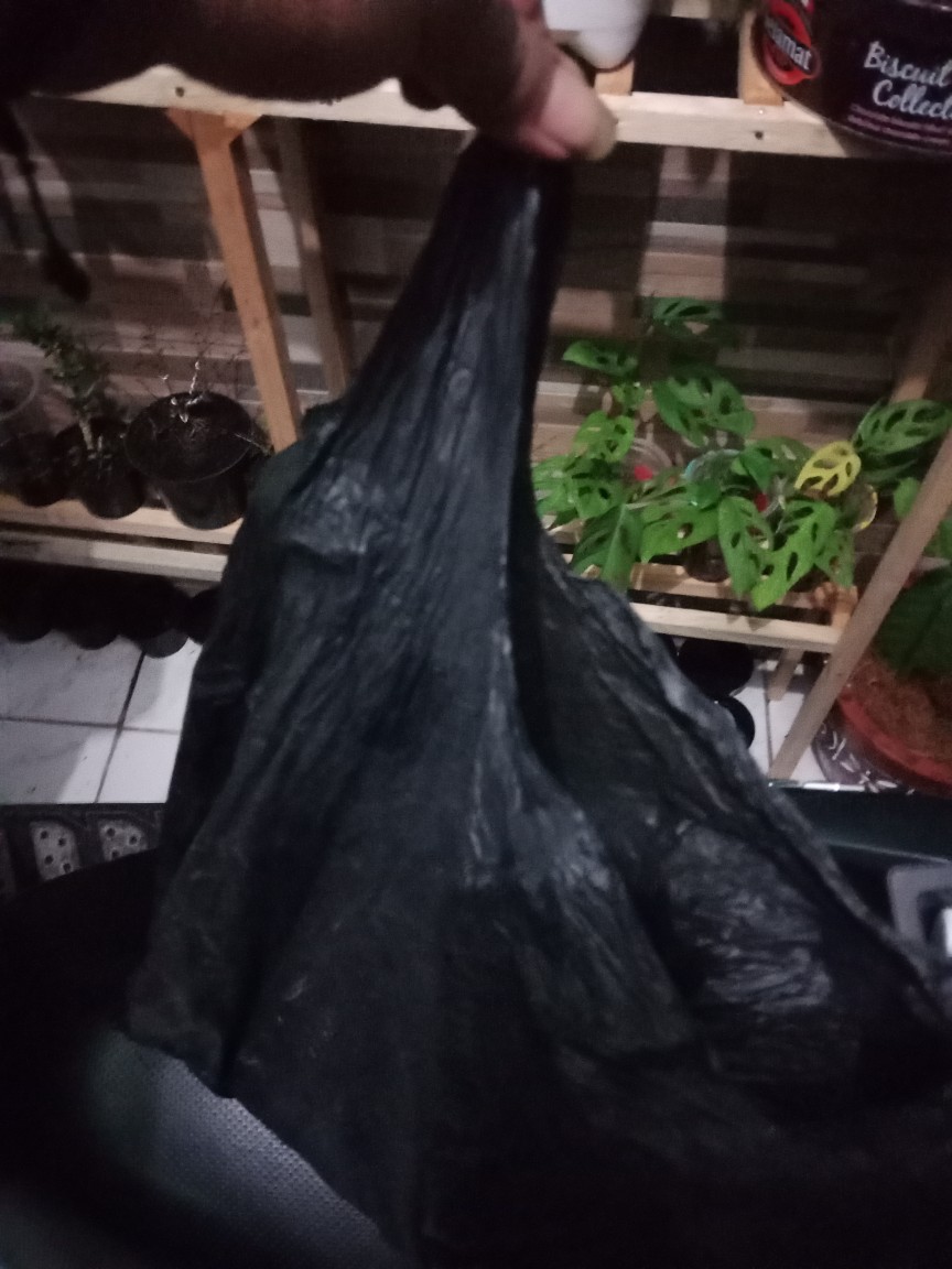 Obat Anti Semut Dan Kecoa Miejiqing