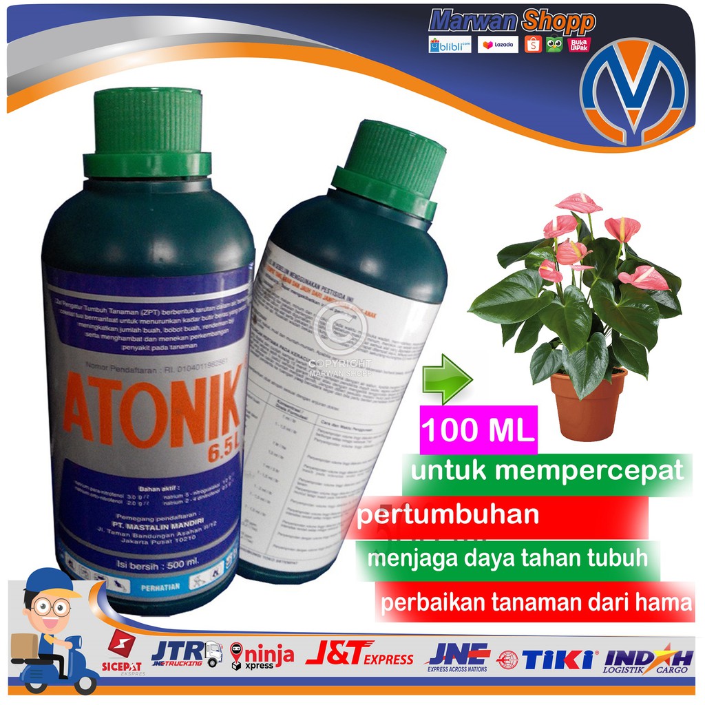 ATONIK 100 ML Pupuk vitamin tanaman hias dsb MARWAN SHOPP