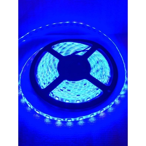 Lampu Led Strip LIGHT Mata Besar 5050 12V/24V per Roll 5 Meter