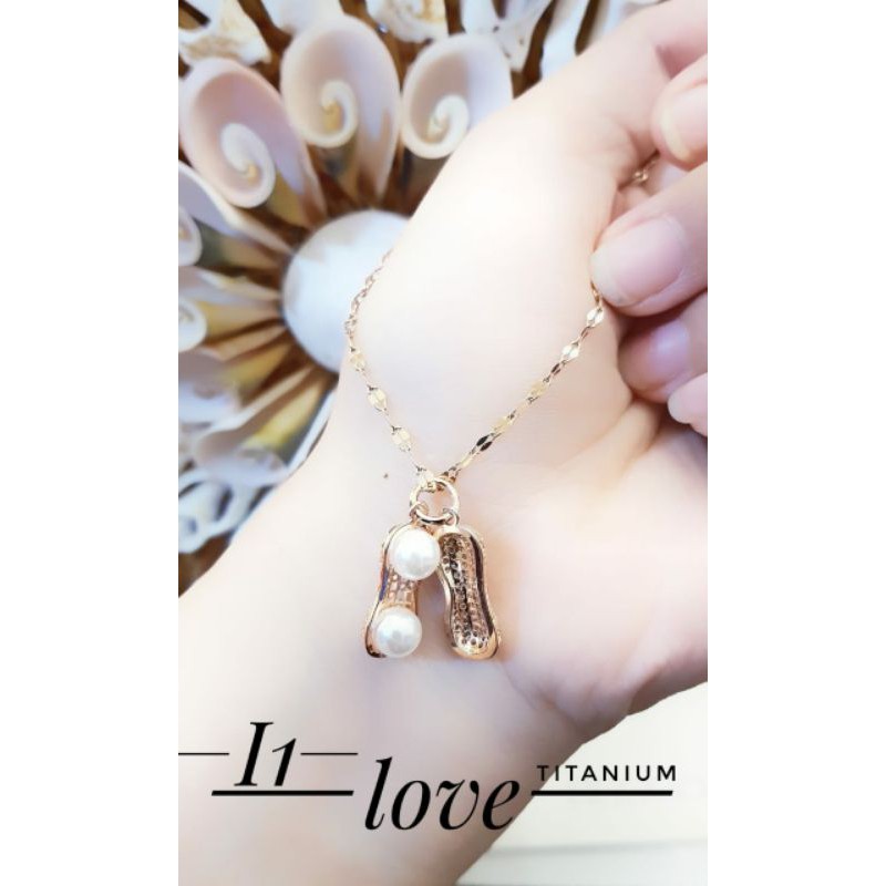 kalung dan liontin kacang mutiara titanium Vi1