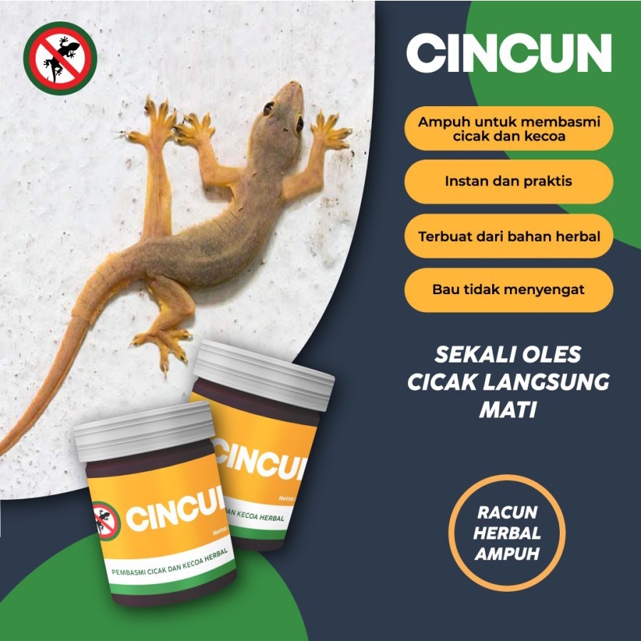 CINCUN RACUN ALAMI AMPUH MEMBASMI CICAK DAN KECOA