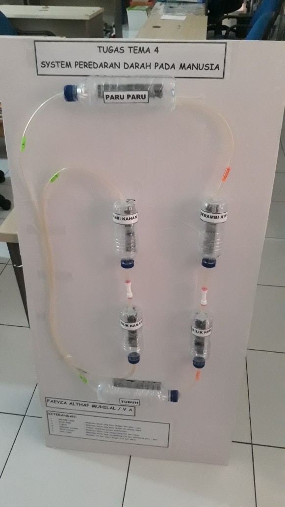 Check Valve 1/4 - Straight / Lurus