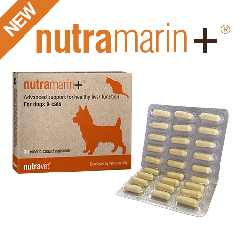 Nutramarin + Obat Gangguan Liver (Hati) untuk  Kucing & Anjing  / Pengganti Samylin & Zentonil