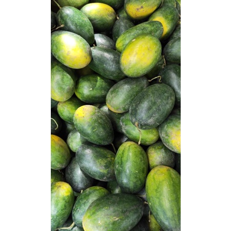 

semangka inul / semangka kuning