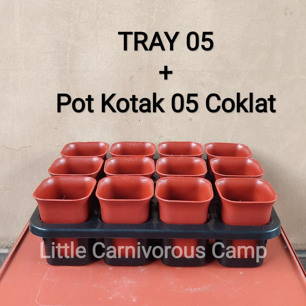 Tray dan pot kecil 12 lubang pembibitan kaktus sukulen pot kotak sanse bulat pagoda nkt