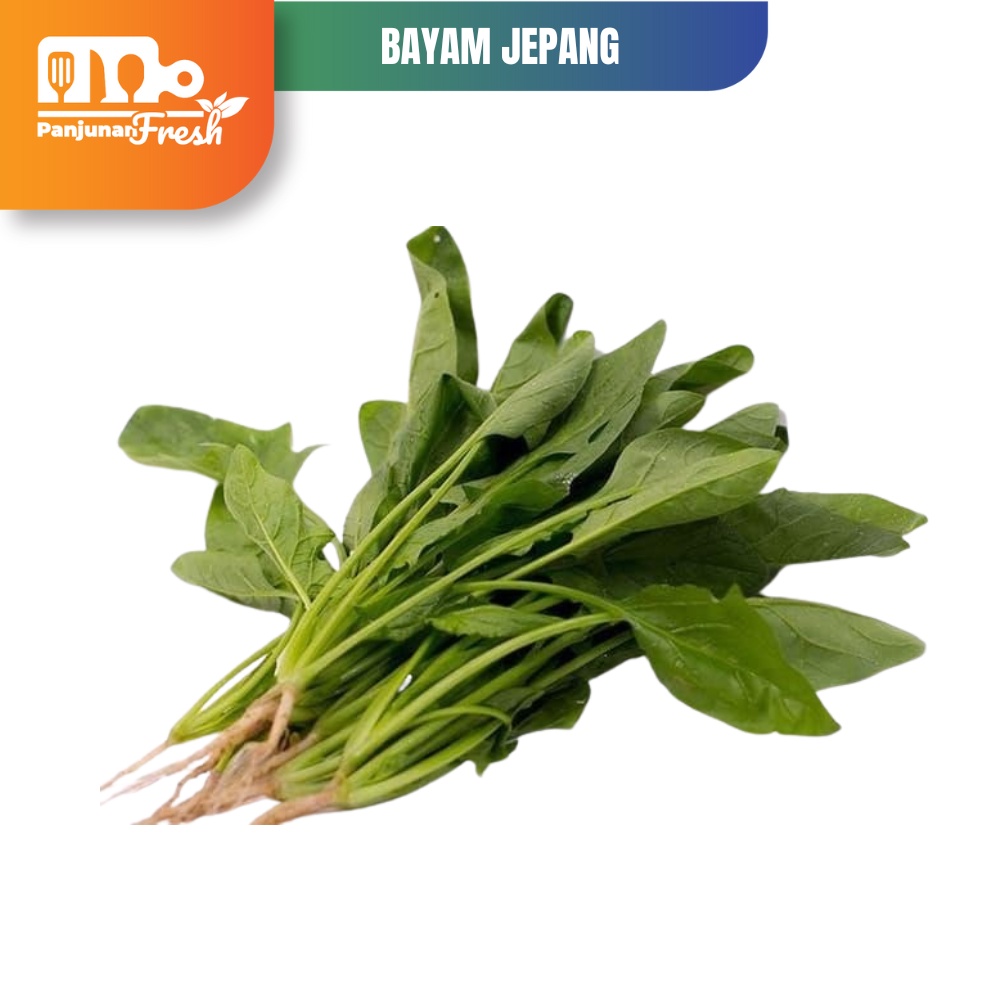 

Bayam Jepang Horenso Bandung Area Sayur Bayam Segar