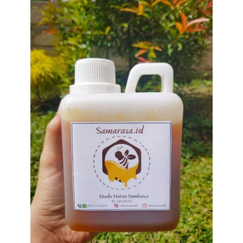 

Madu Hutan Sumbawa (500 ml) Apis Dorsata