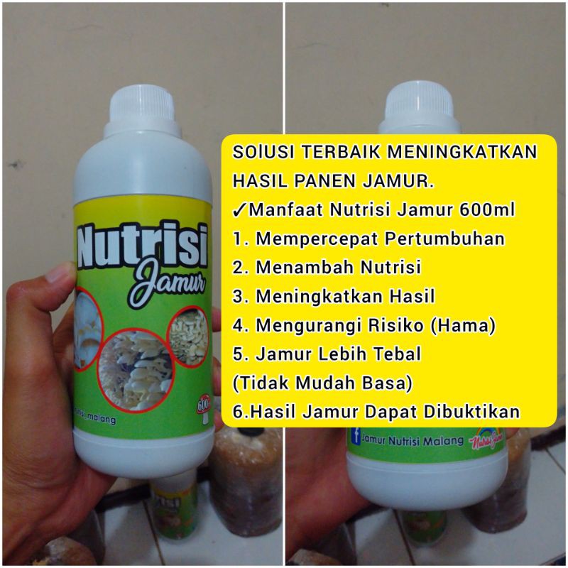 

Ga7 NUTRISI JAMUR 600ML U/ SEGALA JENIS JAMUR KONSUMSI