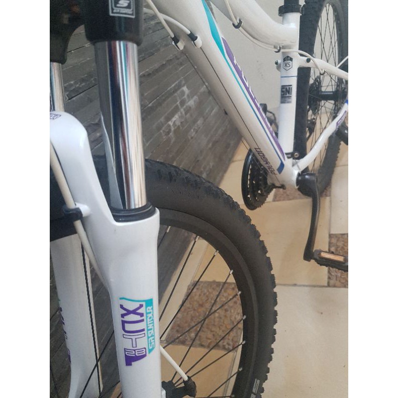 Sepeda Polygon Cleo 2.0