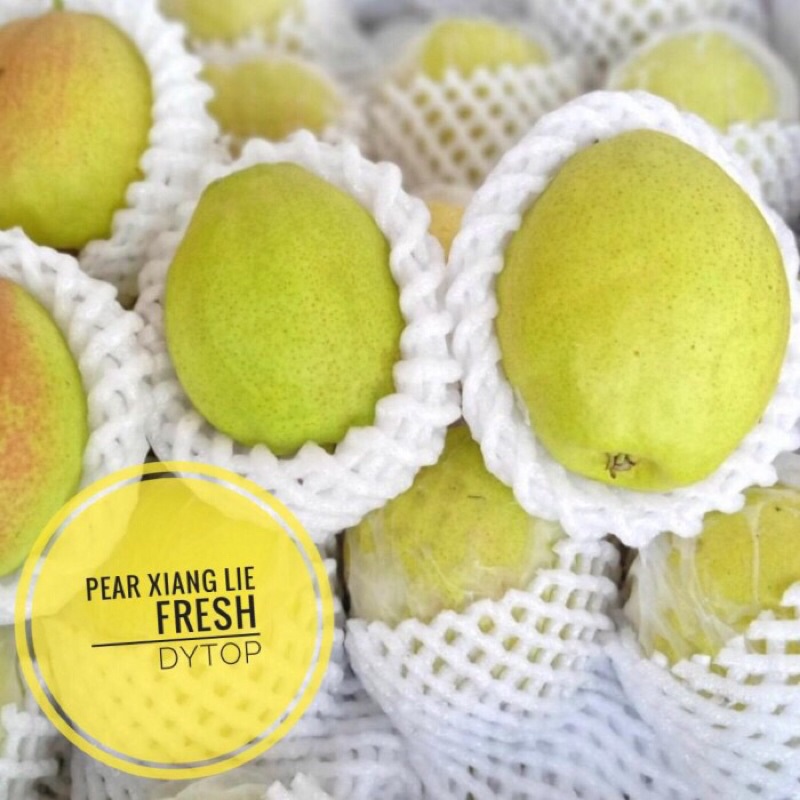 

Buah Pir Pear Xiang Lie Fresh Manis Garing