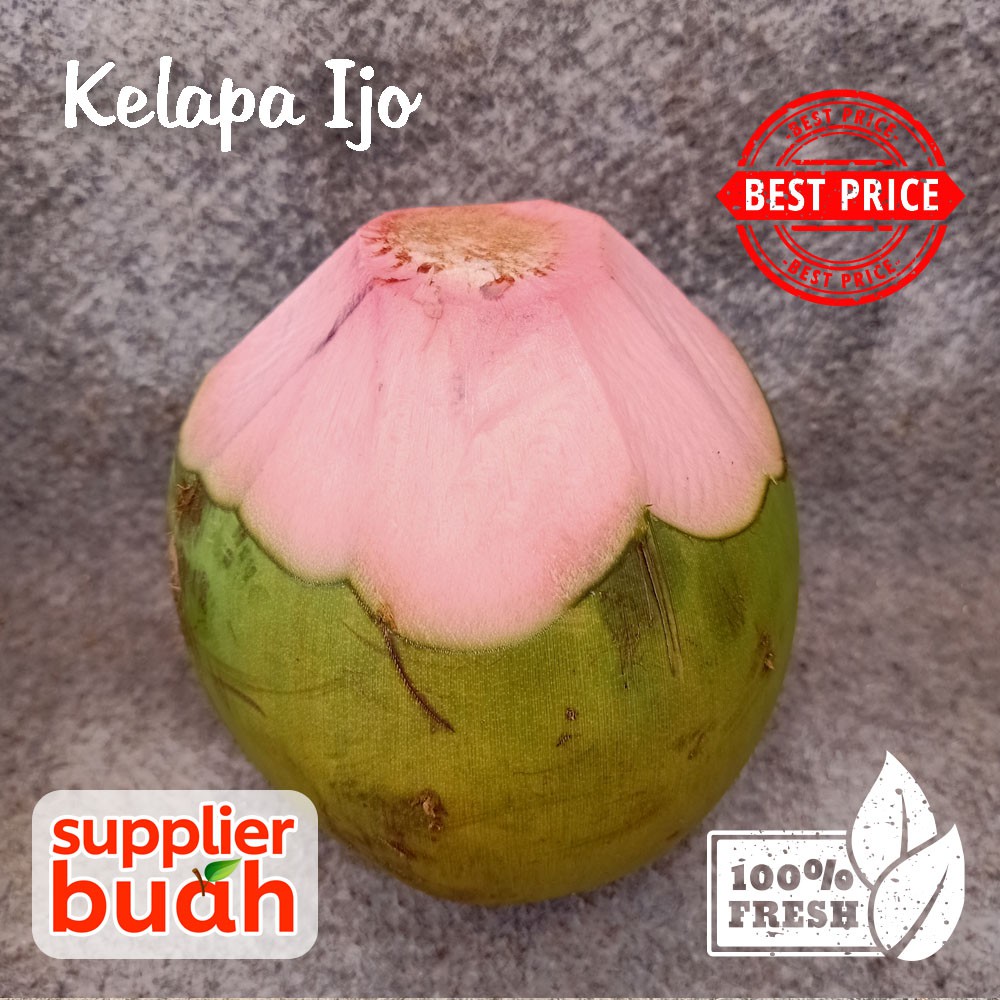 

Kelapa Hijau / kelapa ijo untuk obat