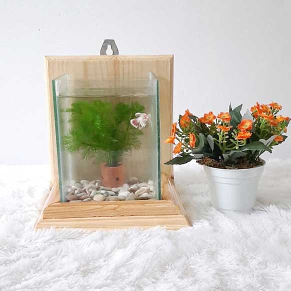 Aquarium Minimalis / Aquarium Ikan Cupang / Soliter Cupang / Bettafish /Aquarium Gantung