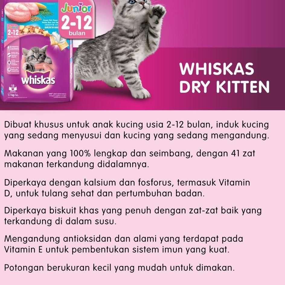 Murah Whiskas Dry Junior 450gr Makanan Kucing Kering Rasa