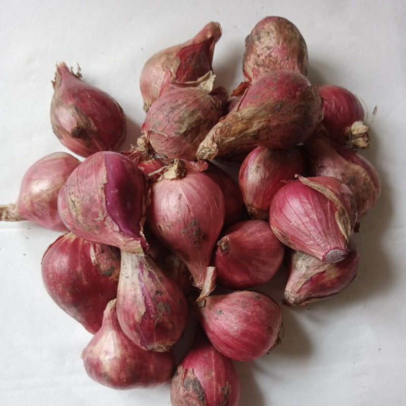 

Bawang Merah Brebes