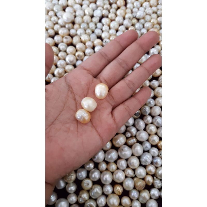 ORIGINAL MUTIARA LAUT LOMBOK ASLI MURAH OVAL BUTIR BIJI MUTIARA BUTIRAN MUTIARA KALUNG GELANG ANTING