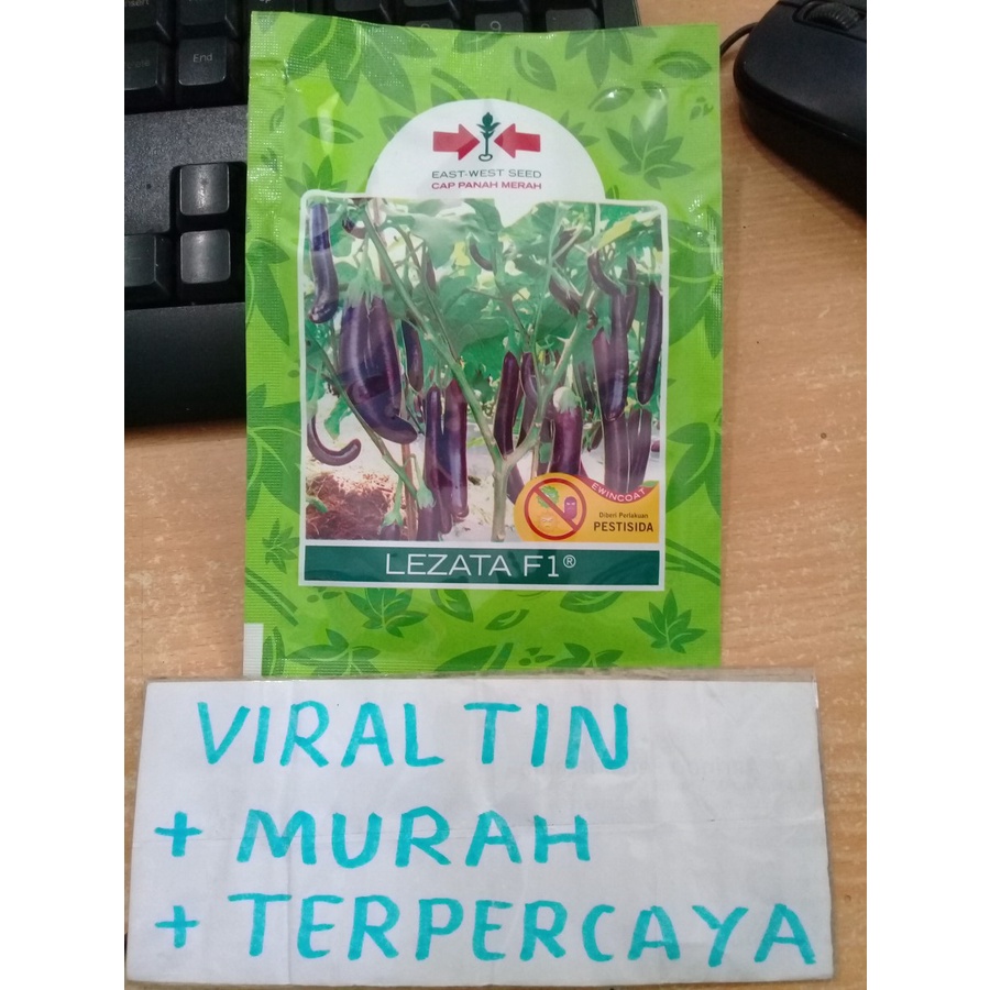 bibit/benih terong lezata