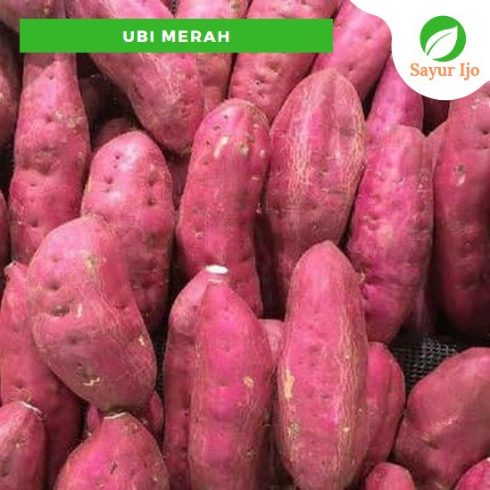 

Ubi Merah 480 - 500 Gram Fresh Sweet Potato Sayur Hijau Buah Segar