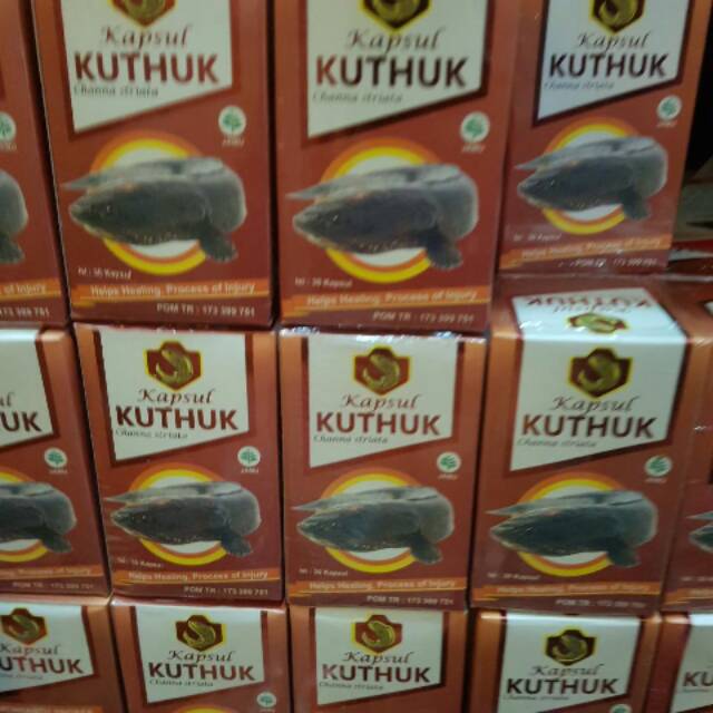 

Ikan kuthuk