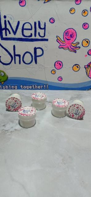 Essen Biang Susu bubuk Lively Shop