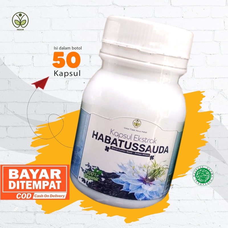 Habatusauda Kapsul Habbatusauda Ekstrak Habatussauda Murah Jinten Hitam Murni Habatusauda Habbatussa