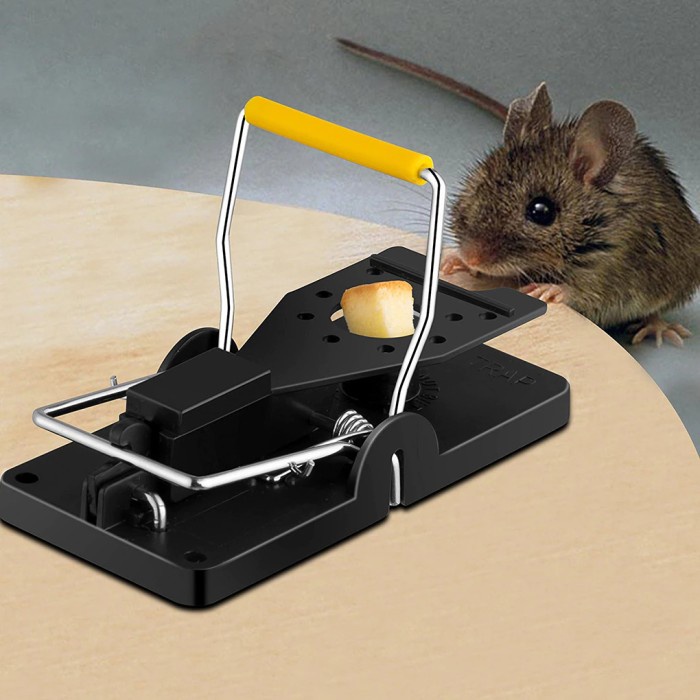 ebakan Perangkap Tikus Mouse Bait Snap Spring Trap 6 PCS