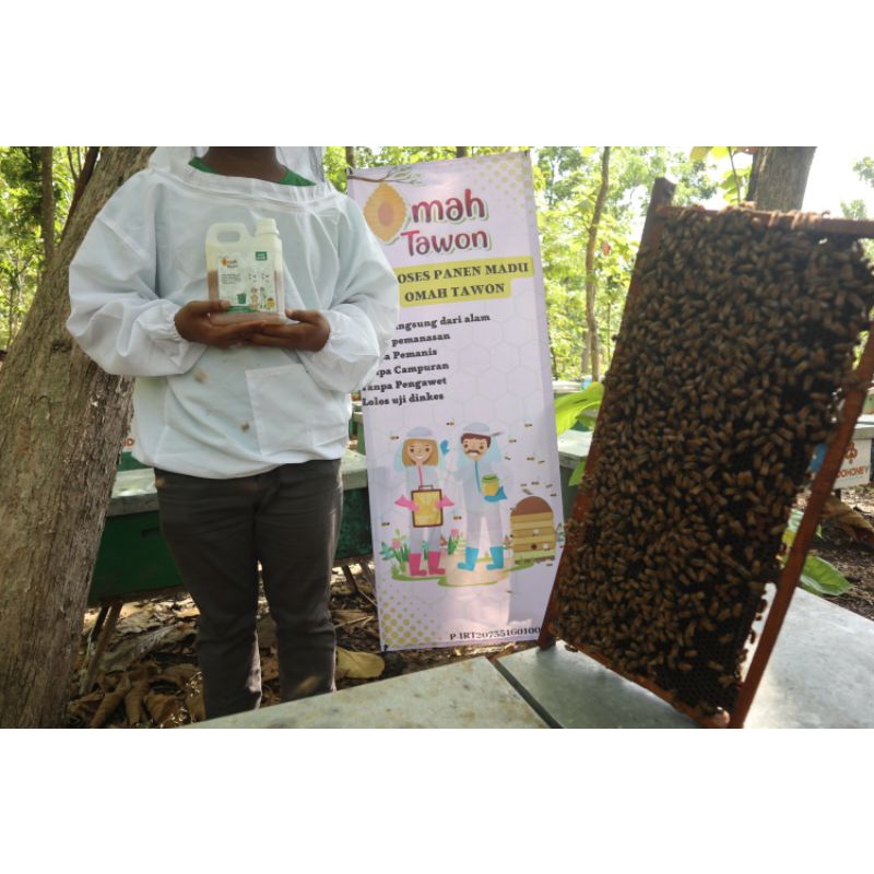 Madu Murni Multiflora Madu Mentah Madu Raw Honey Lolos uji lab 1kg