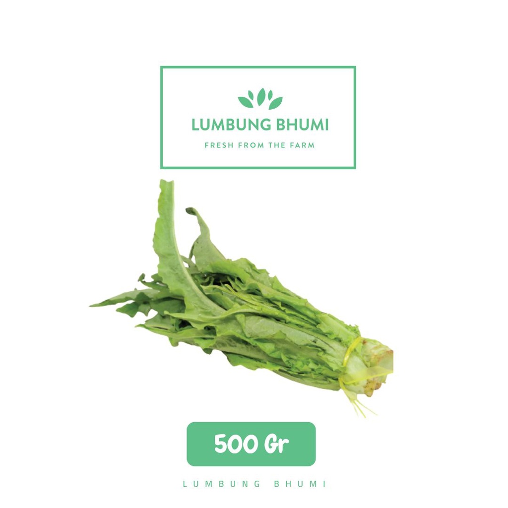

Lumbung Bhumi - Siomak 500 Gr ( Sayur Curah )