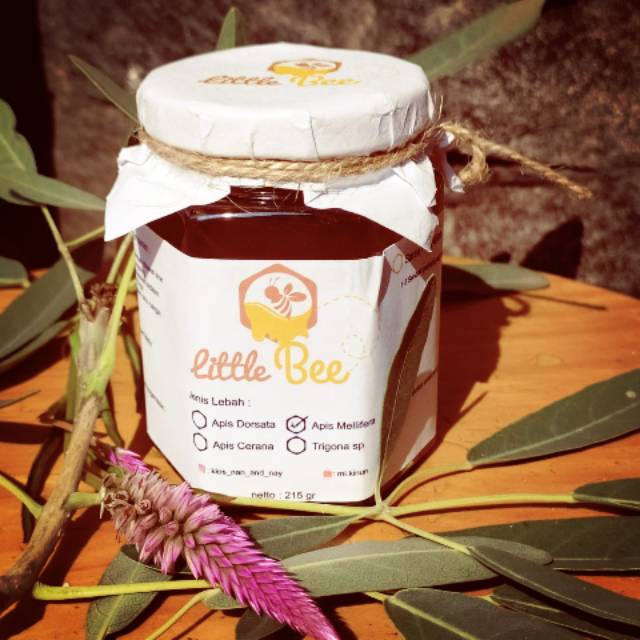 

Madu murni mellifera