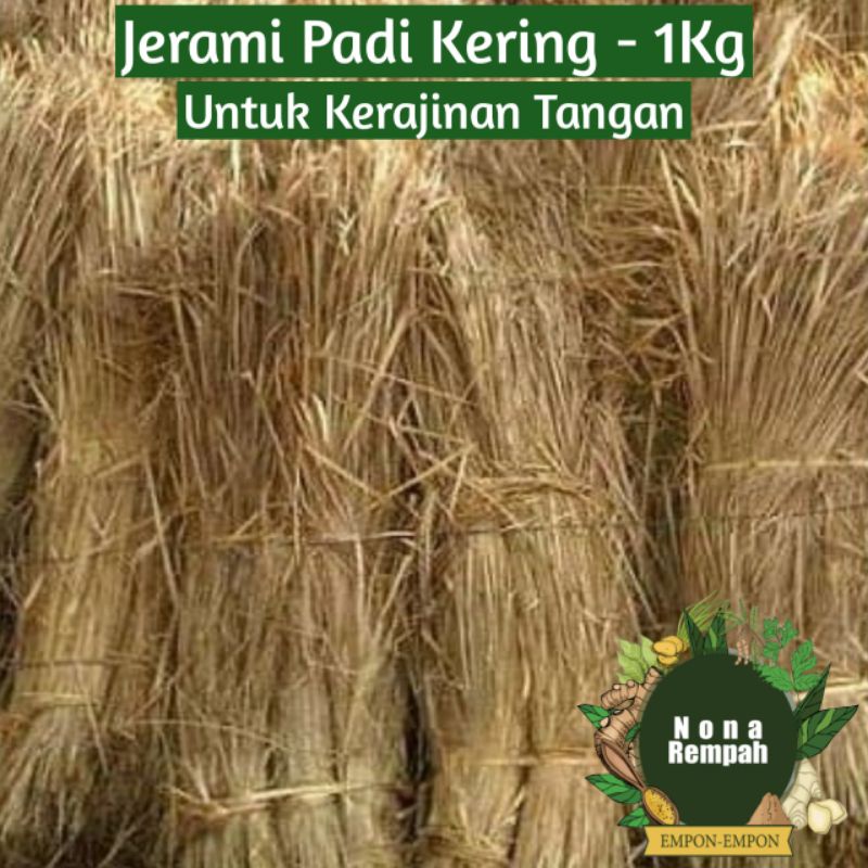 Jual Jerami Padi Kering 1kg Untuk Kerajinan Tangan Shopee Indonesia