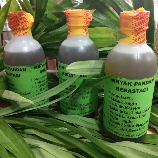 

Minyak Pandan Berastagi