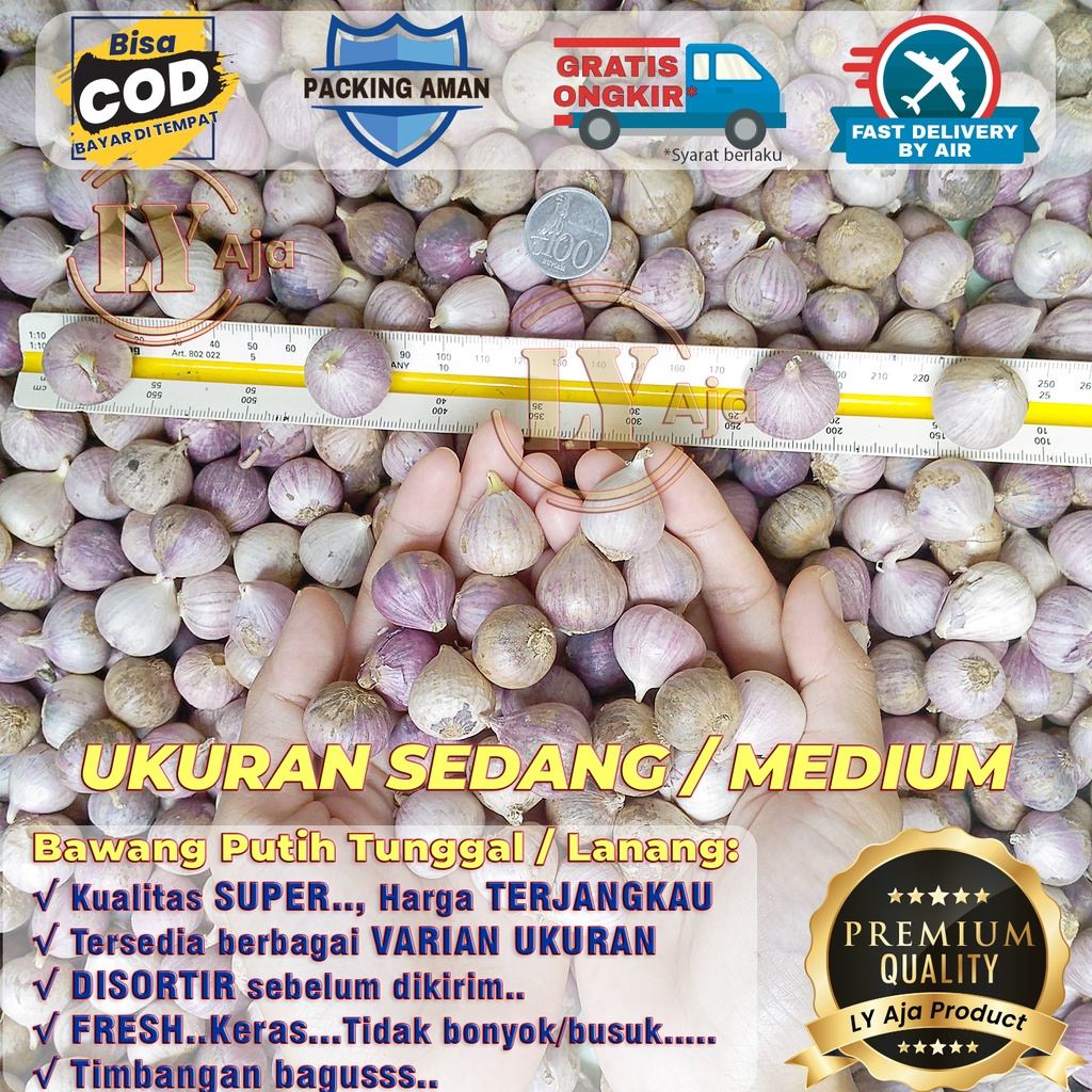 Bawang Putih Tunggal Lanang Impor 250 Gram KECIL SEDANG BESAR JUMBO Kualitas Super LY Aja 250 Gr