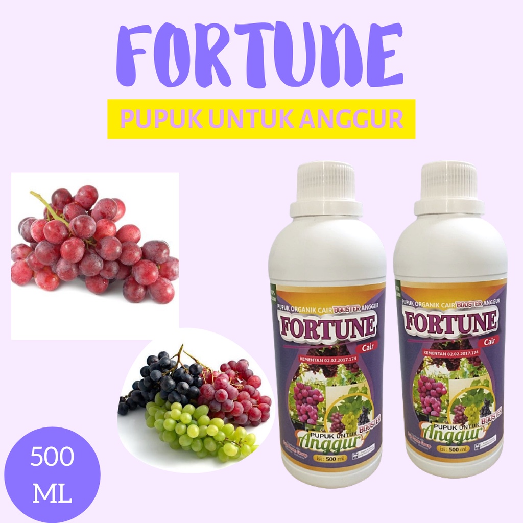 Pupuk Fortune Anggur, Pupuk Anggur Agar Cepat Berbuah, Pupuk Anggur Masa Pertumbuhan, Pupuk Buah Ang