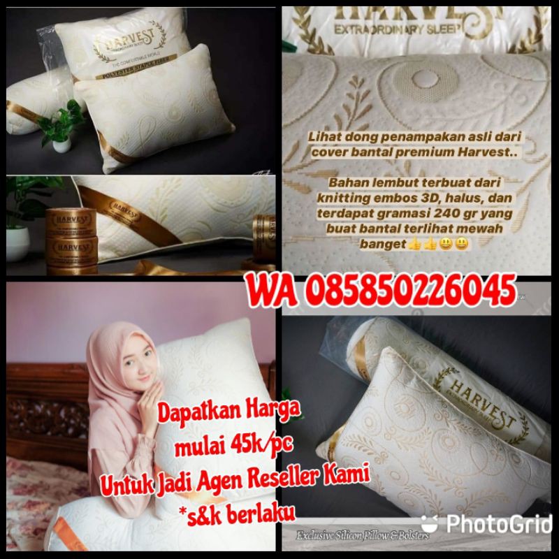 RESELLER HARVEST PILLOW BOLSTER / BANTAL GULING BAHAN IMPORT