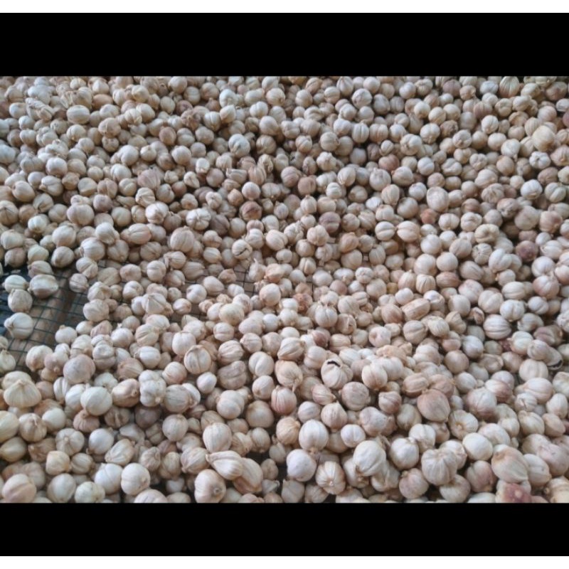 

Kapulaga, kapulogo/ Cardamom High Quality.