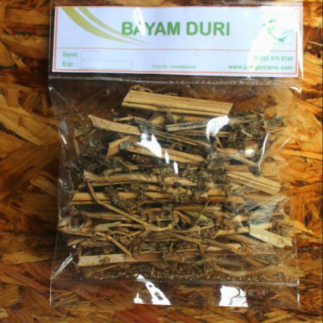 

[JOGJA] Bayam Duri kering asli herbal 500 gr (Amaranthus spinosus)